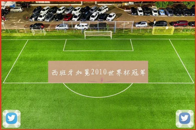 西班牙加冕2010世界杯冠军